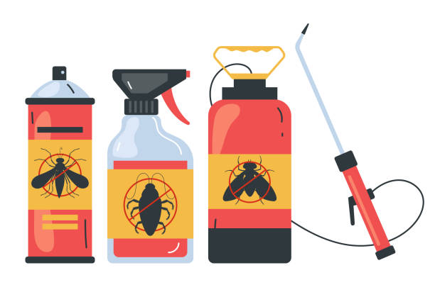 Best Spider Control Near Me  in Media, PA